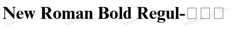 New Roman Bold Regul字体转换